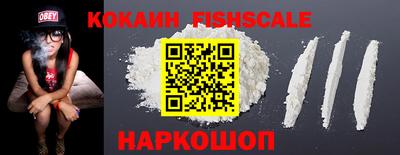индика Дубна