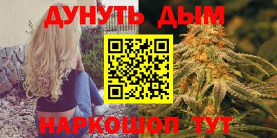 индика Дубна